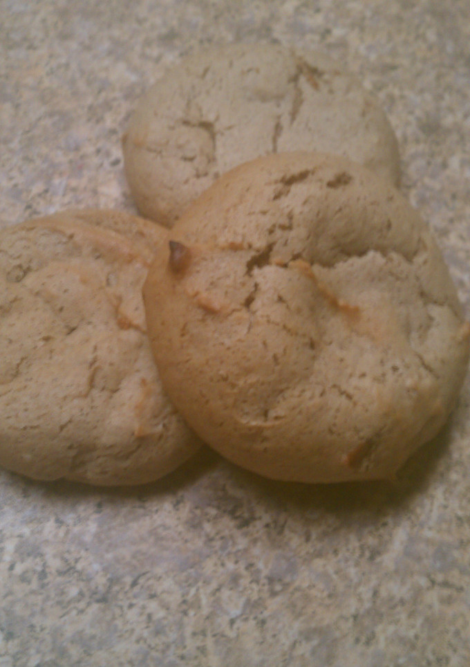 A picture of Pecan Spice Cookies.