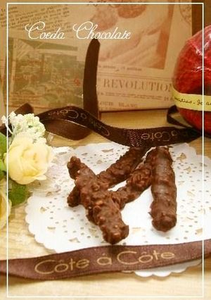 A picture of Koeda (Twig) Chocolate Sticks Decorations Using Two Ingredients.