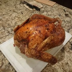 A picture of Tom's Turkey.
