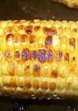 A picture of Fried Corn On The Cob.