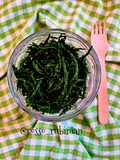 Salicornia fritta