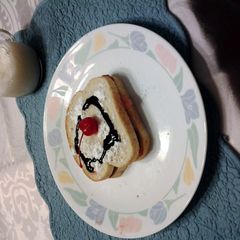 A picture of The mem trex sandwich.