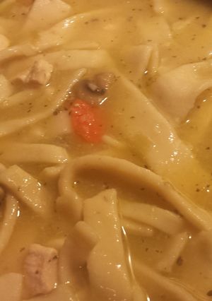 A picture of Egg noodles/soup noodles.