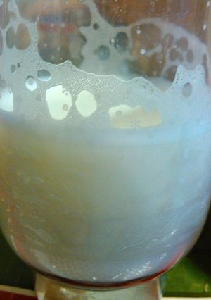A picture of Fresh homemade almond milk.
