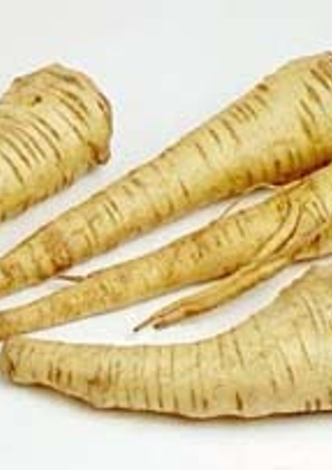 A picture of Parsnip Soup.