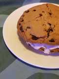 Icecream sandwich
