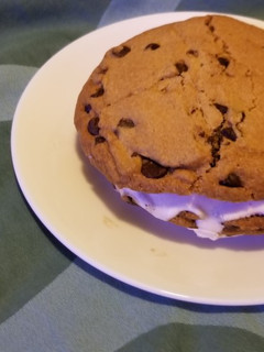 A picture of Icecream sandwich.
