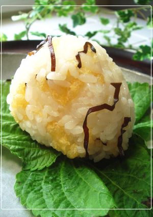 A picture of Tempura Crumbs & Shio-konbu Onigiri.
