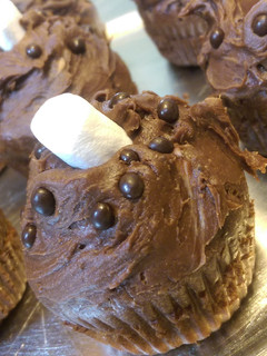 A picture of High Protein CHOCOHOLIC.