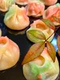 Kawaii Colorful Gyoza Dumplings