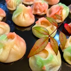 Kawaii Colorful Gyoza Dumplings A picture of Kawaii Colorful Gyoza Dumplings.