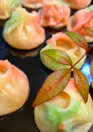 A picture of Kawaii Colorful Gyoza Dumplings.