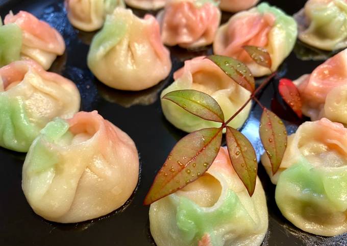 Kawaii Colorful Gyoza Dumplings