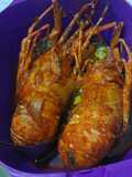 Lobster Saos Padang Ala Madayu