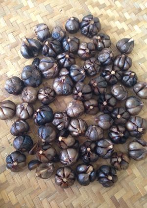 Foto resep Aged Black Garlic