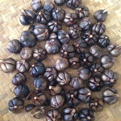 Resep Aged Black Garlic Oleh Euodia Cookpad