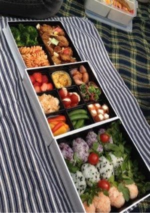 A picture of DEAN&DELUCA 3-Tier Bento Box for Flower Viewing.