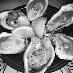 A picture of Mike's Seafood School 101.