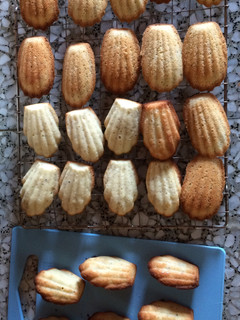 A picture of Madeleines.