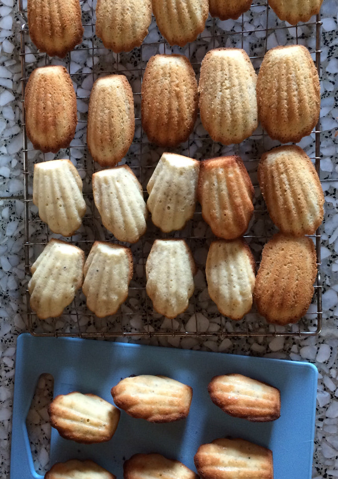 A picture of Madeleines.