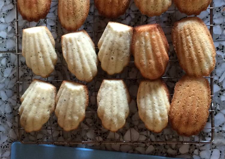 Easiest Way to Prepare Quick Madeleines
