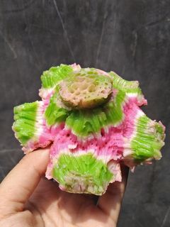 Foto resep Bikang mawar anti gagal lembut Dan berserat