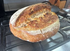 Una foto de Masa madre para elaborar pan a la Sonorense