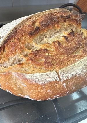 Una foto de Masa madre para elaborar pan a la Sonorense