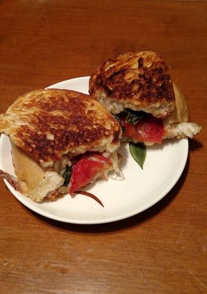 A picture of Tomato mozzarella grilled cheese.