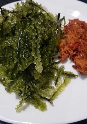 Foto resep Urap Latoh