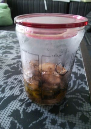 A picture of Oil Pickled Oysters - Can Be Stored for One Month.