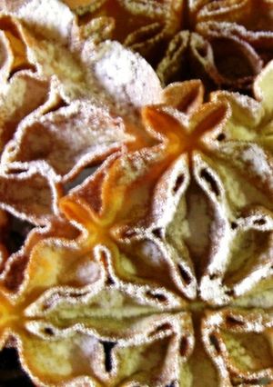 A picture of Khatoon (Nan) Panjereh (Persian Dessert).