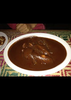 A picture of Red mole with chicken.