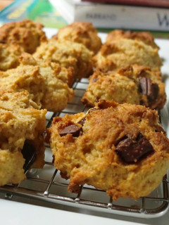 A picture of Fresh Okara Cookies That Won't Crumble.