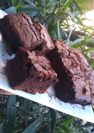 Una foto de Brownie