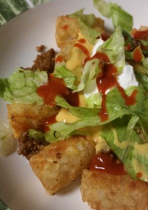 A picture of Taco Tots.
