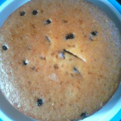 A picture of Eggless vanilla cake with orange zest and chocochips ( in pressure cooker).