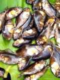 Bulusan Cucido
