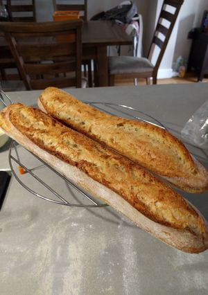 A picture of Retarded Baguettes.