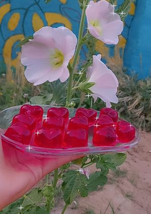 عکسی از دستور پاستیل😋💞