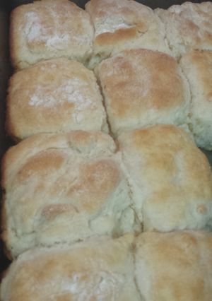 A picture of Biscuits.