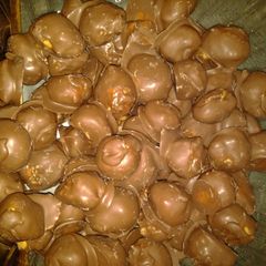 A picture of Peanut Butter Balls.