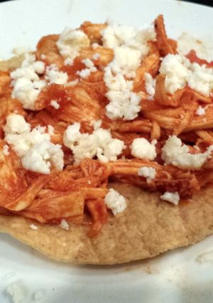 A picture of Tinga.