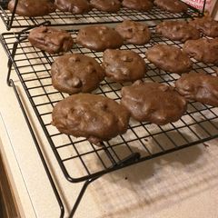 Chocolate Stout Fudge Cookies A picture of Chocolate Stout Fudge Cookies.