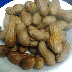 A picture of Salted boiled peanuts.