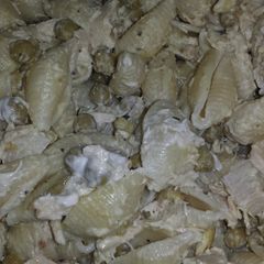 A picture of Tuna Pasta Salad.