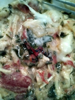 A picture of Easy Chicken Alfredo Lasagna.