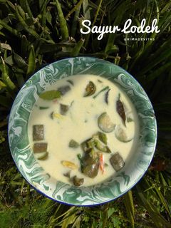 Foto resep Sayur lodeh terong