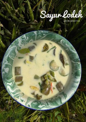 Foto resep Sayur lodeh terong