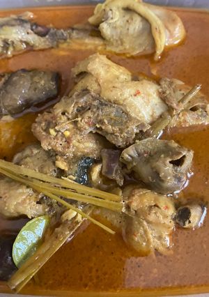 Foto resep 95. Ayam gulai
